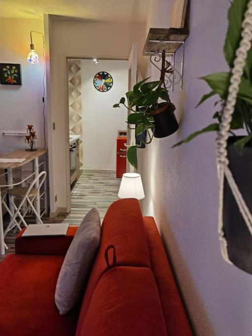 Cosy T1Bis Proche Centreville, Petit Port, Audencia Nantes Luaran gambar